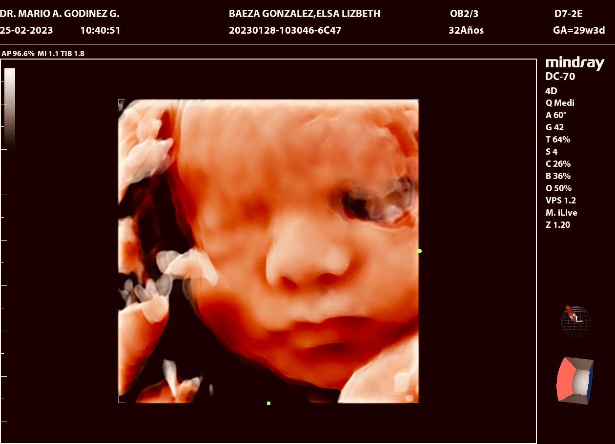 Mario Alberto Godínez Guerrero-2