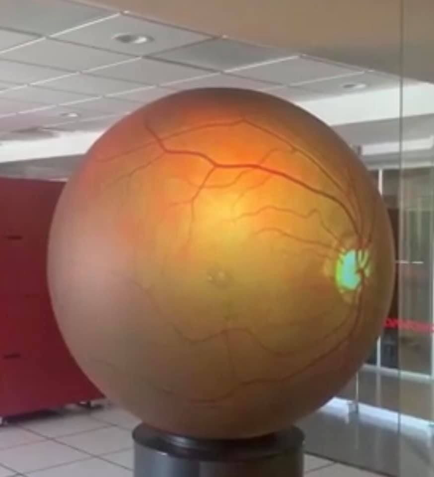 Rosa María Romero Castro-57