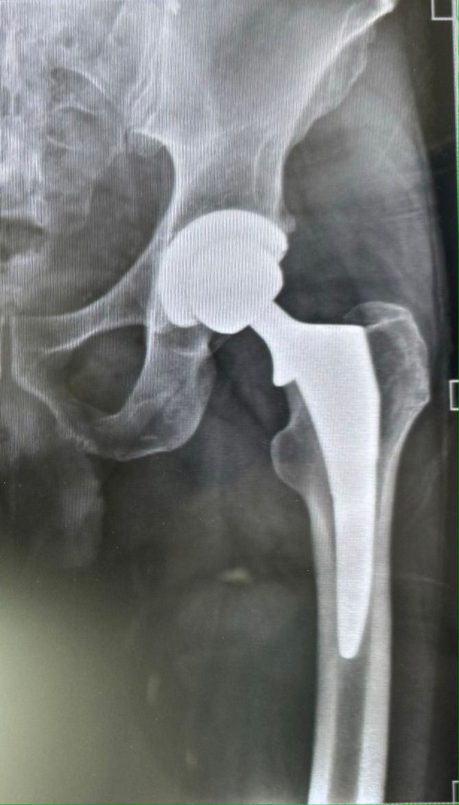 Gisela Cleto Zepeda-126