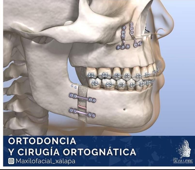 Silvia Uribe Márquez-11