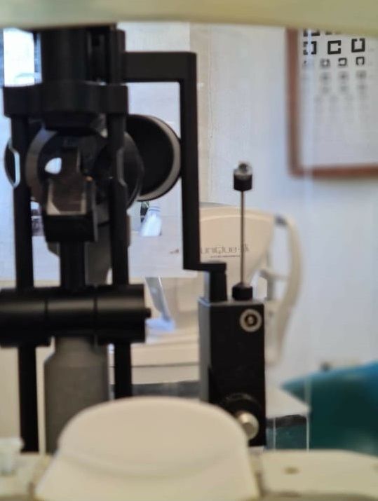 Rita Alicia Navarro Montes-1