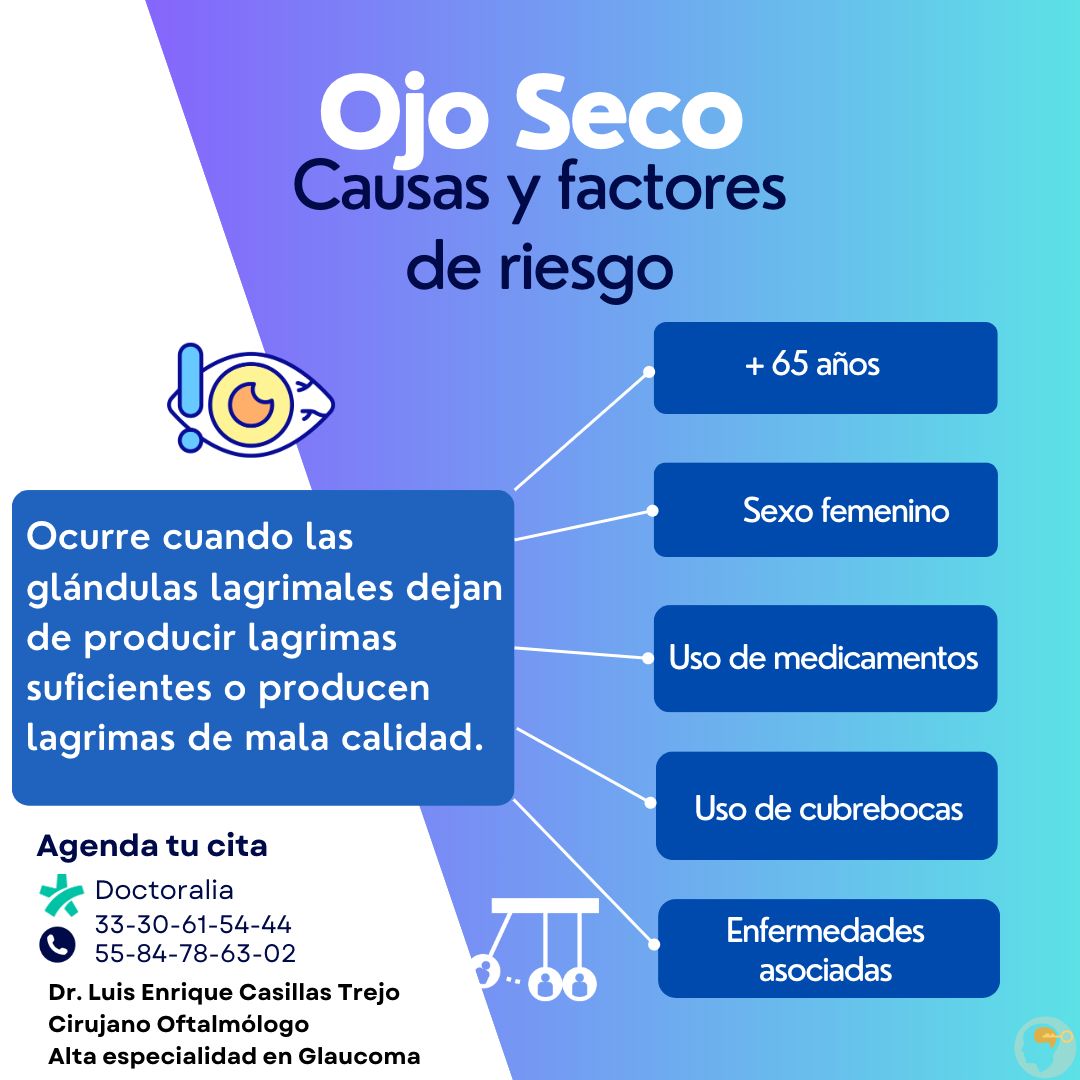 Luis Enrique Casillas Trejo-6