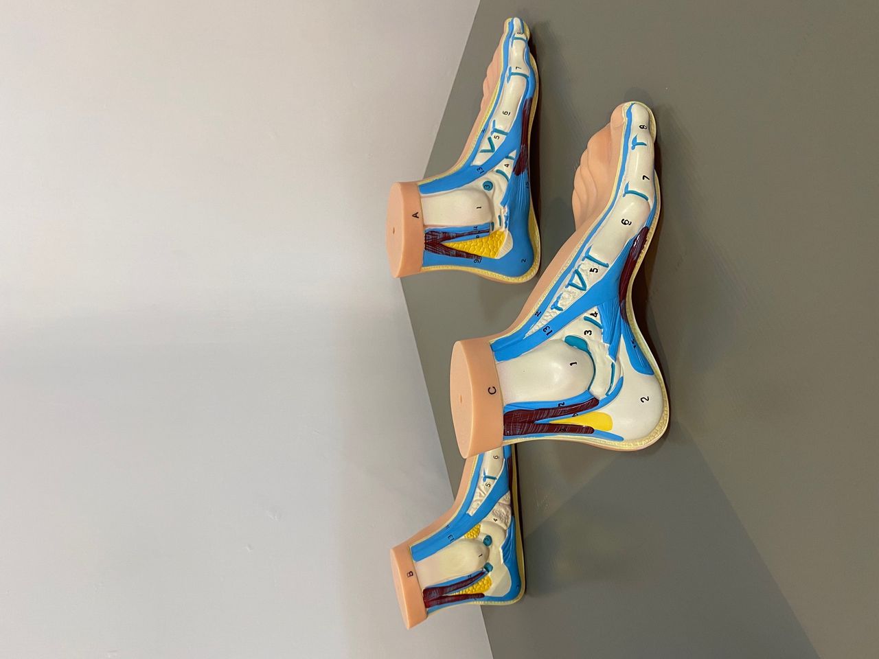 Javier Enríquez Mendoza-8