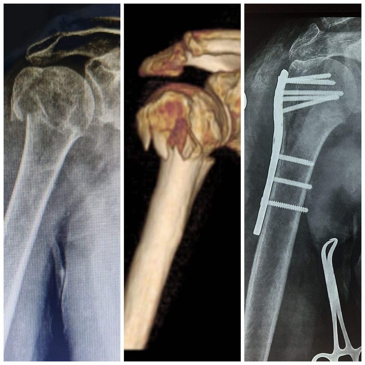 Otilia Gallegos De La Torre-0