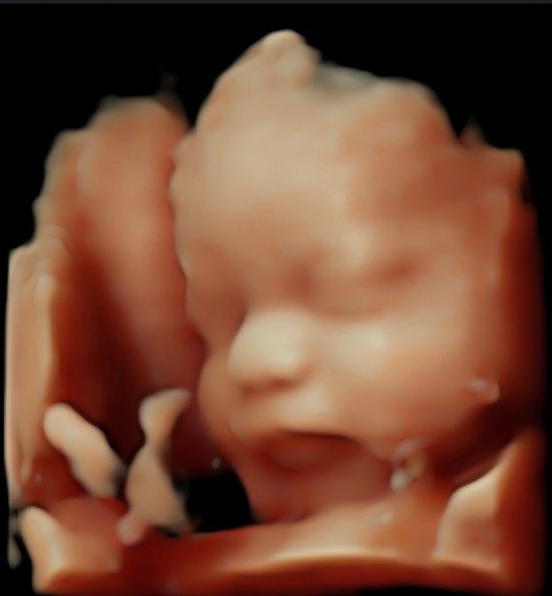 Griselda Reyes Torres-13