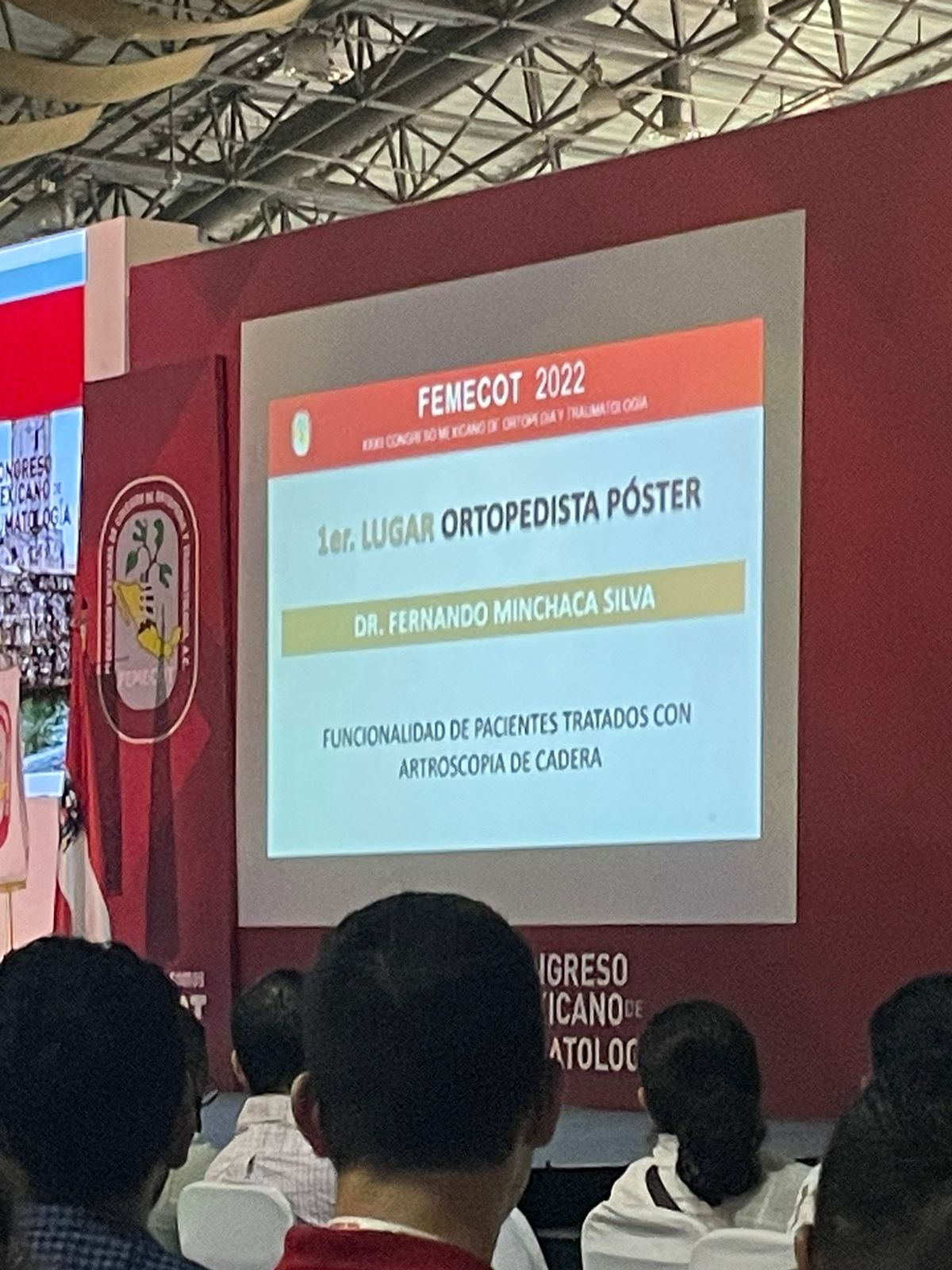Fernando Minchaca Silva-2