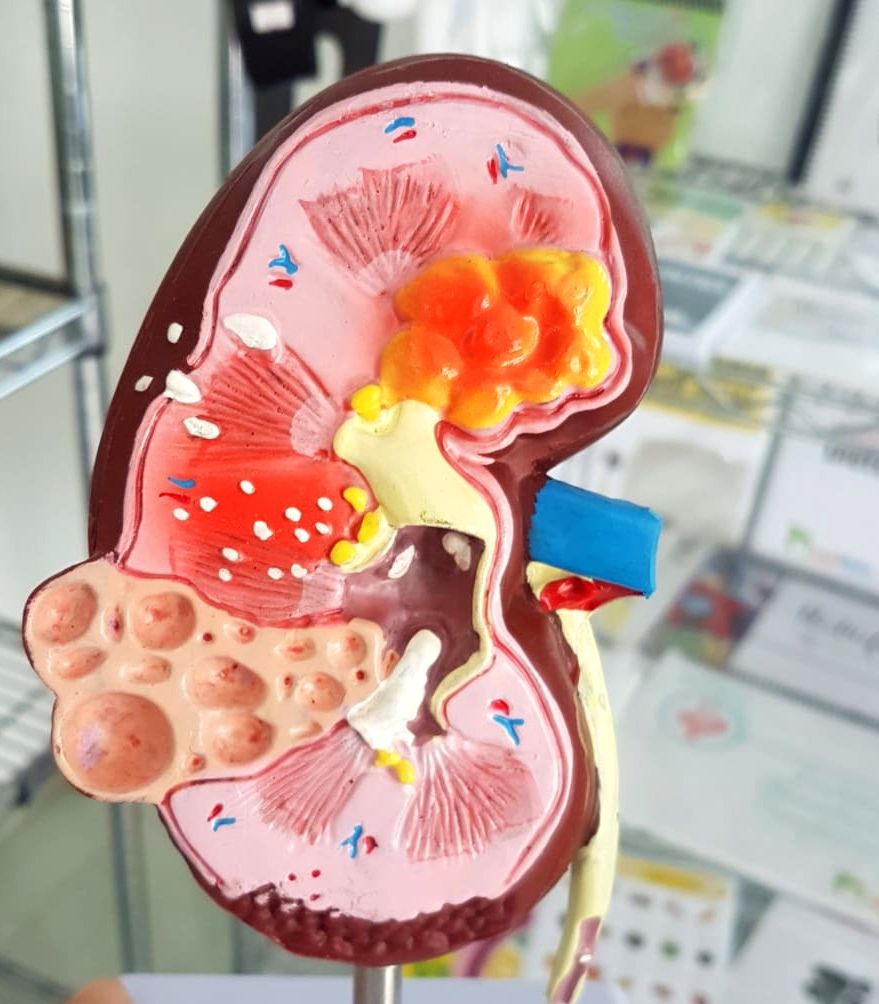 Isianel Delgado Martínez-0