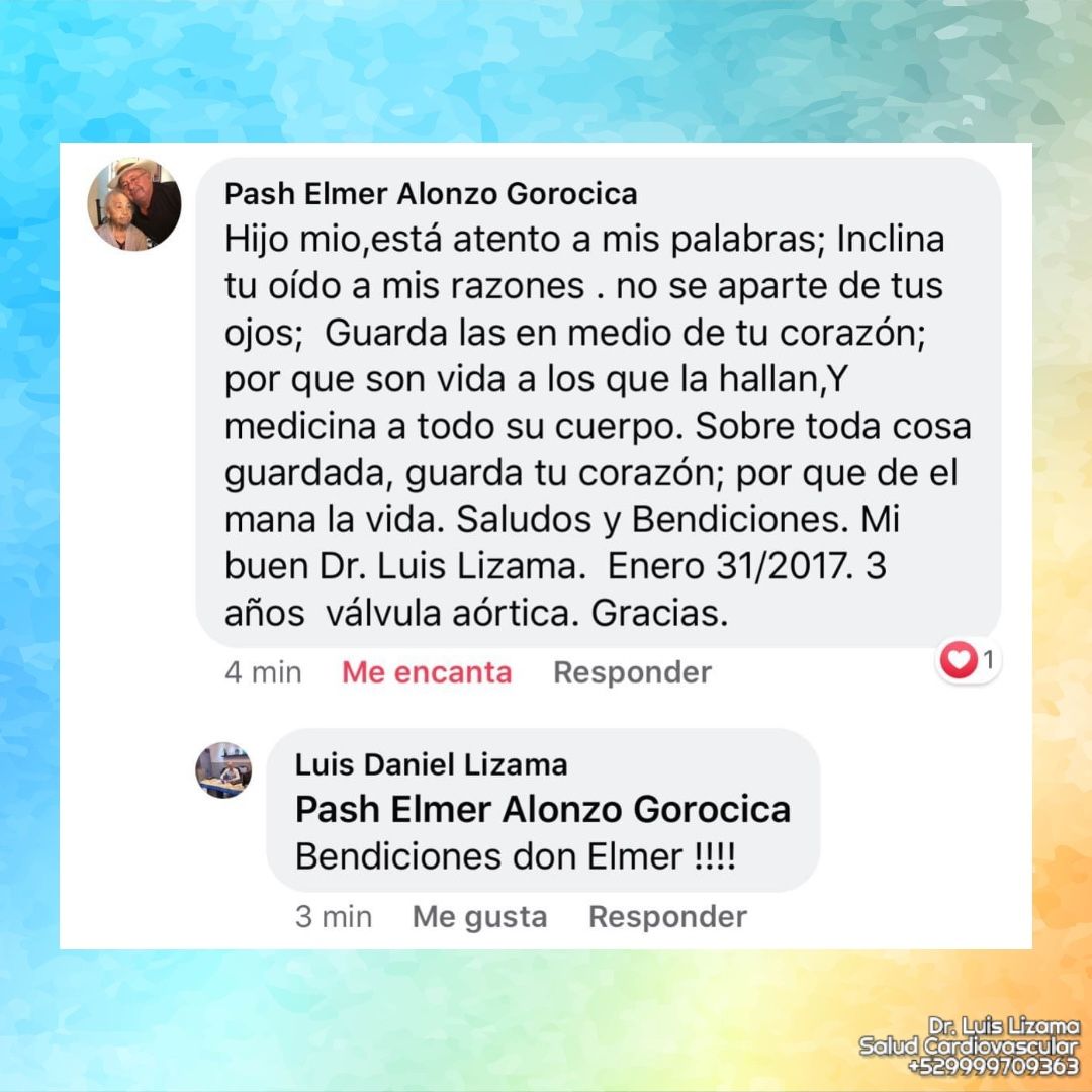 Luis Daniel Lizama Rodrí­guez-27