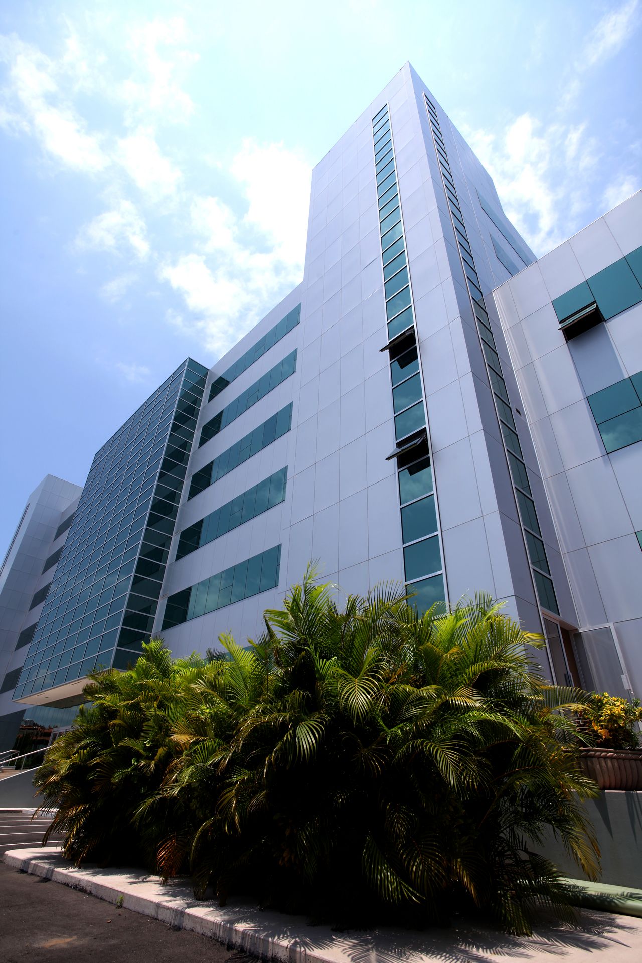 Fernando Davila  Radilla-5