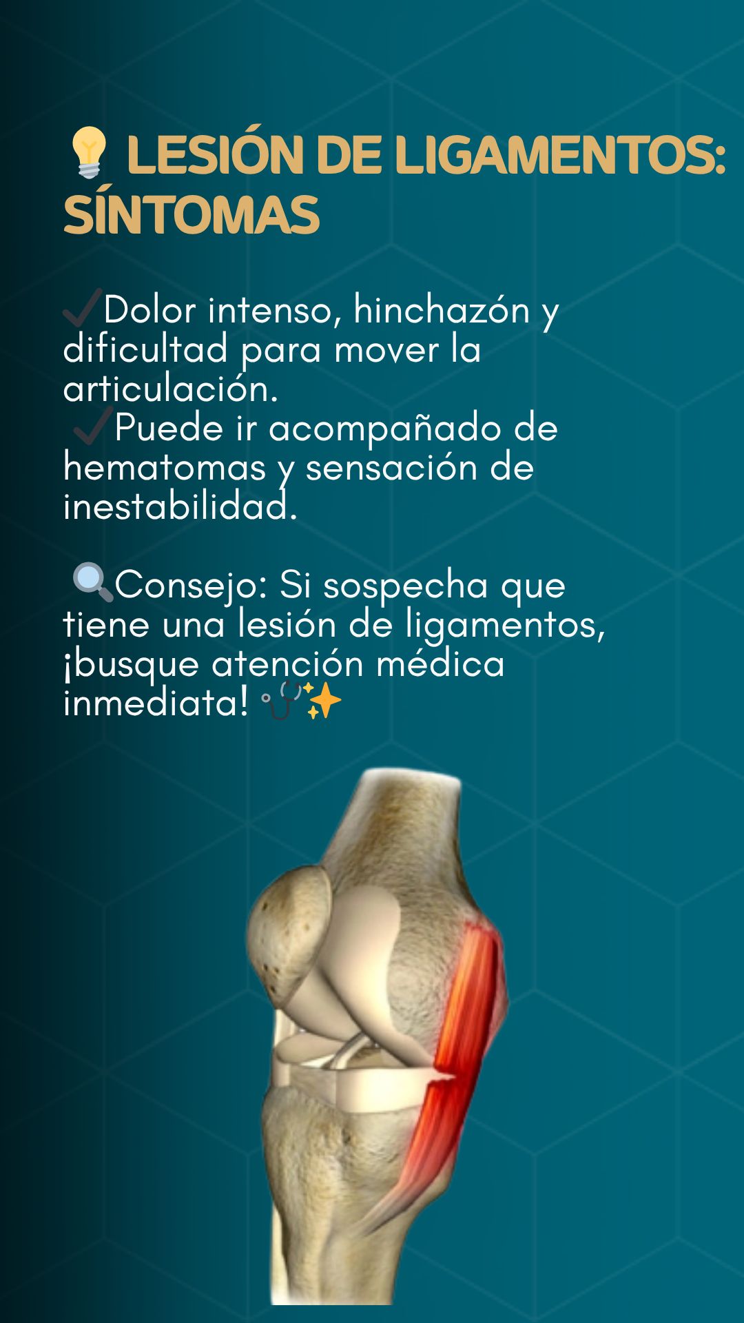 Fernando Zuñiga R.-10