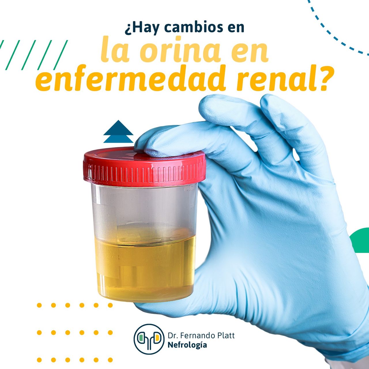 Fernando Platt Soto-5