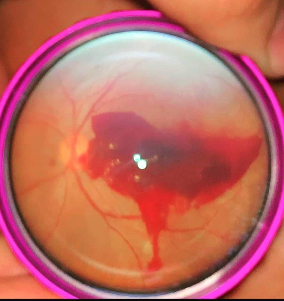 Dalia Méndez Marín-8