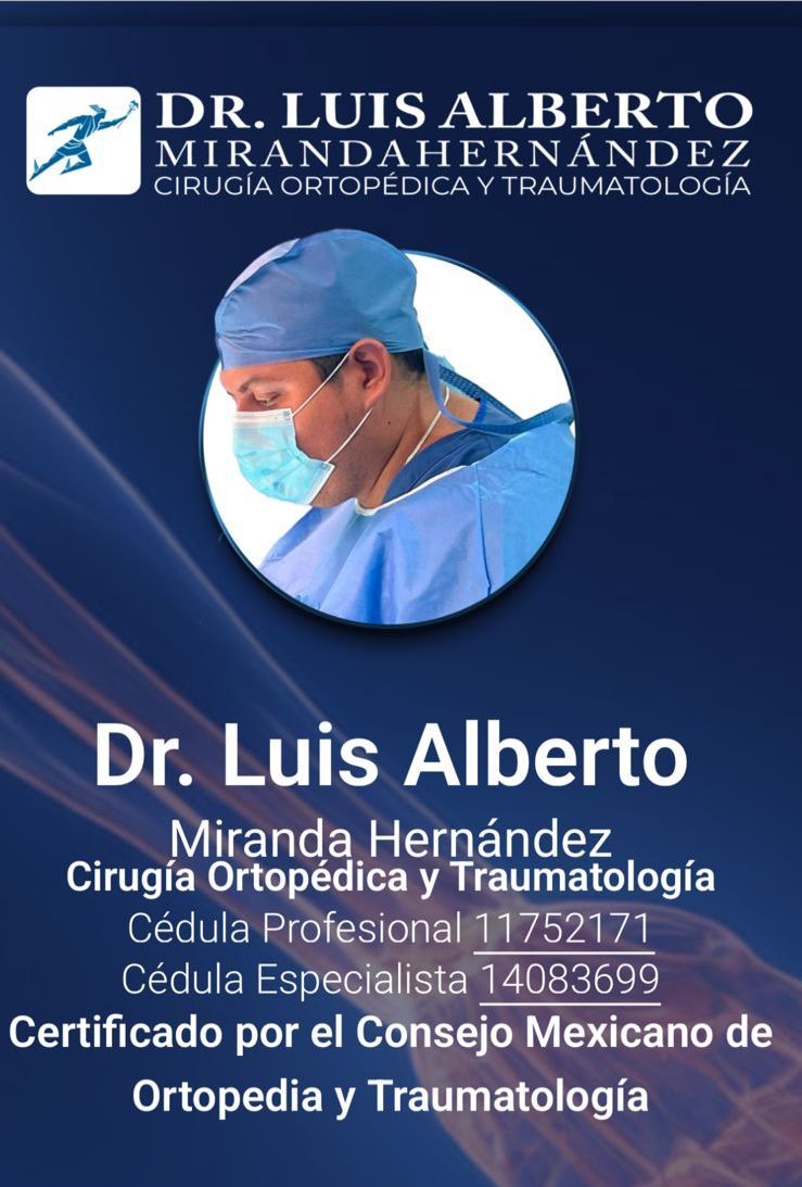 Luis Alberto Miranda Hernandez-18