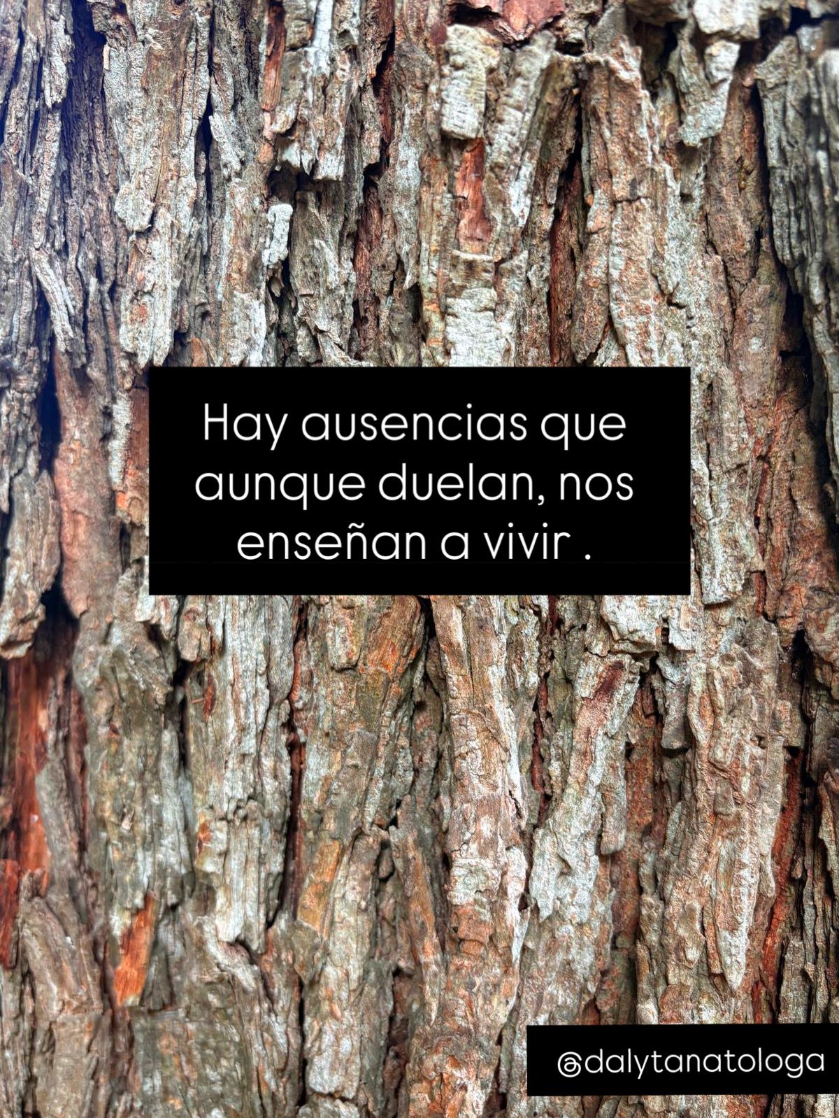 Dalia Angélica Villarreal Rodríguez-16