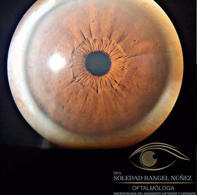 Soledad Rangel Núñez-3