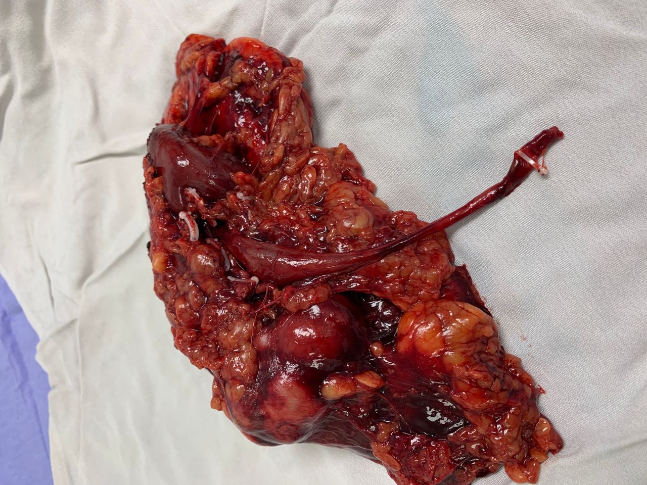 Enrique Hans Mues Guizar-4