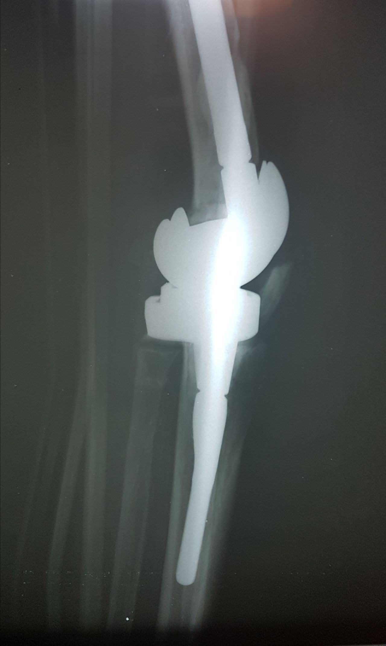 Ramon Garcia Acosta-10