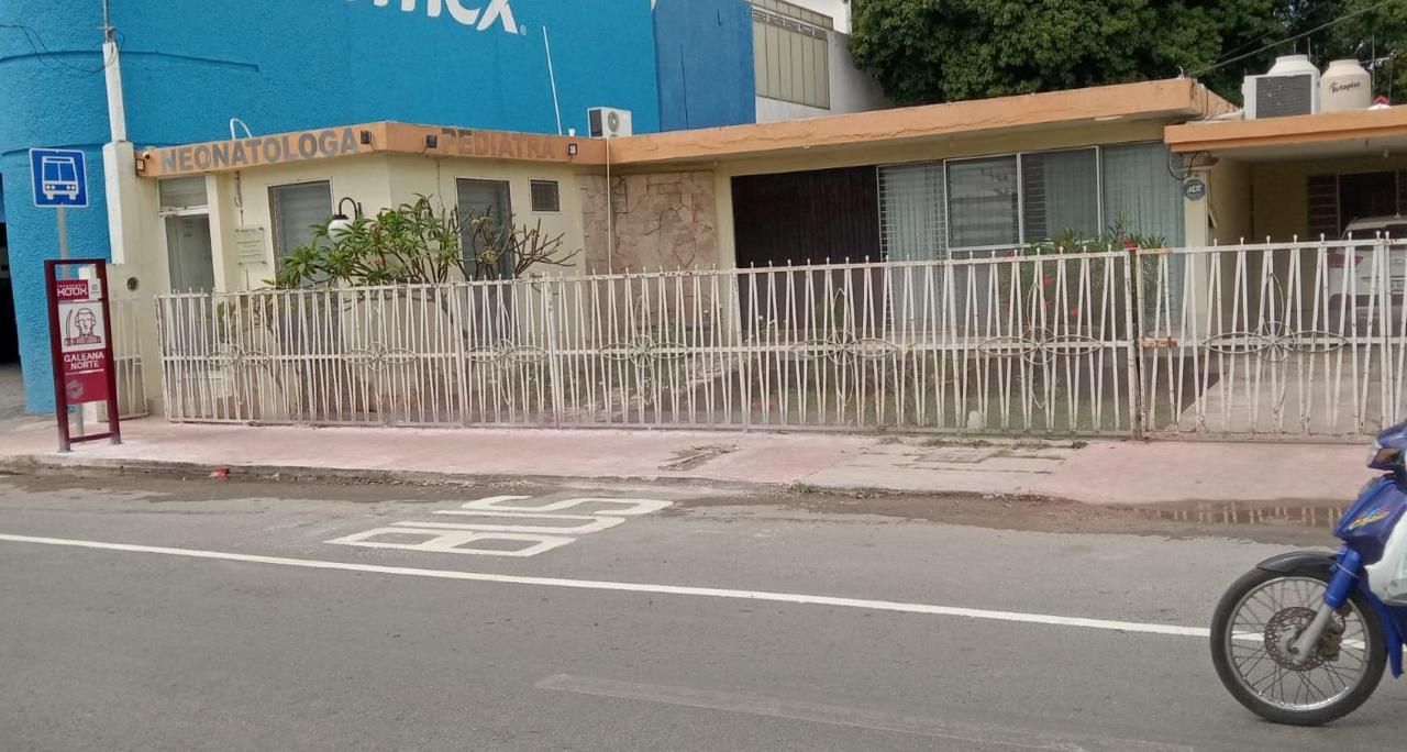 Martha Eugenia Alpuche Cuevas-0