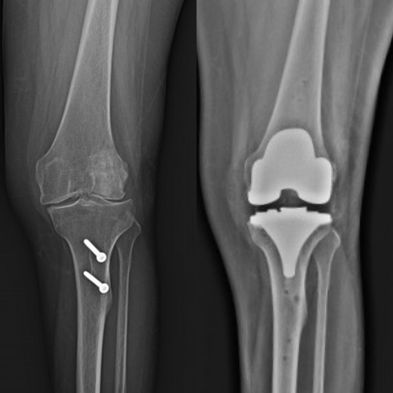 Alejandra Fuentes Martínez-20