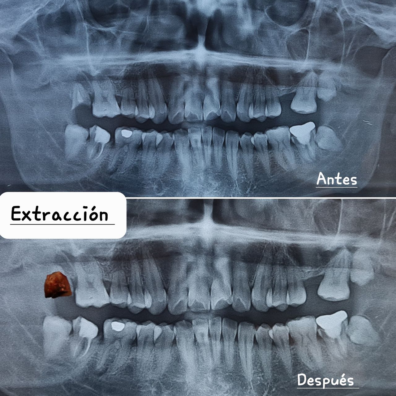 Aimée Quiroz Mendoza-69