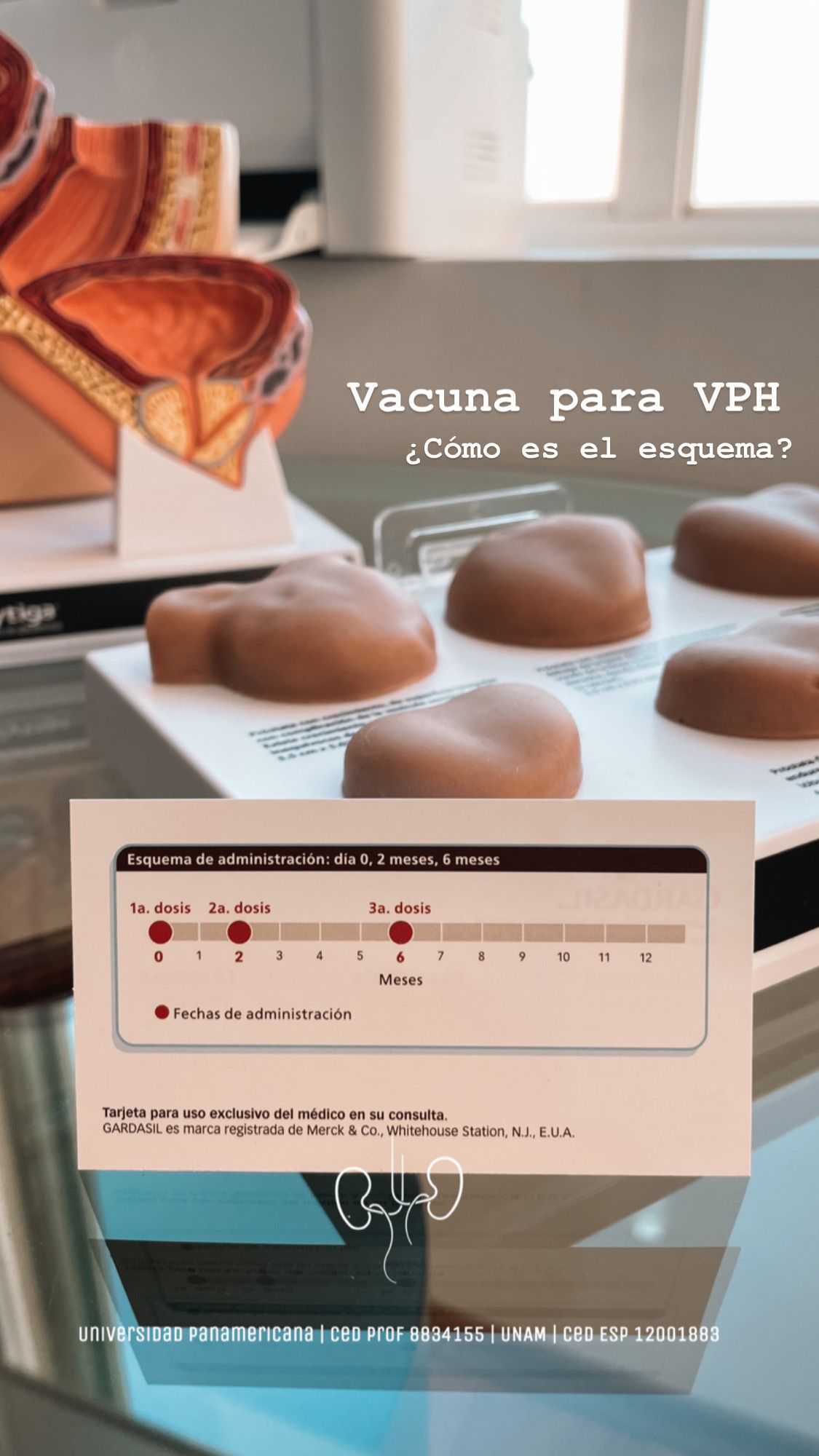 Jorge Esteban Magaña González-18