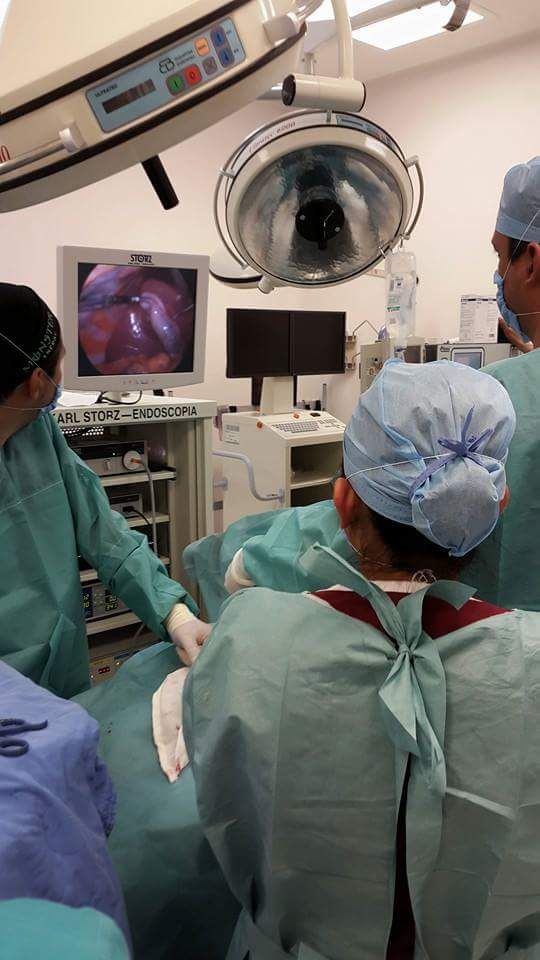 Horacio Paniagua Hernández-12