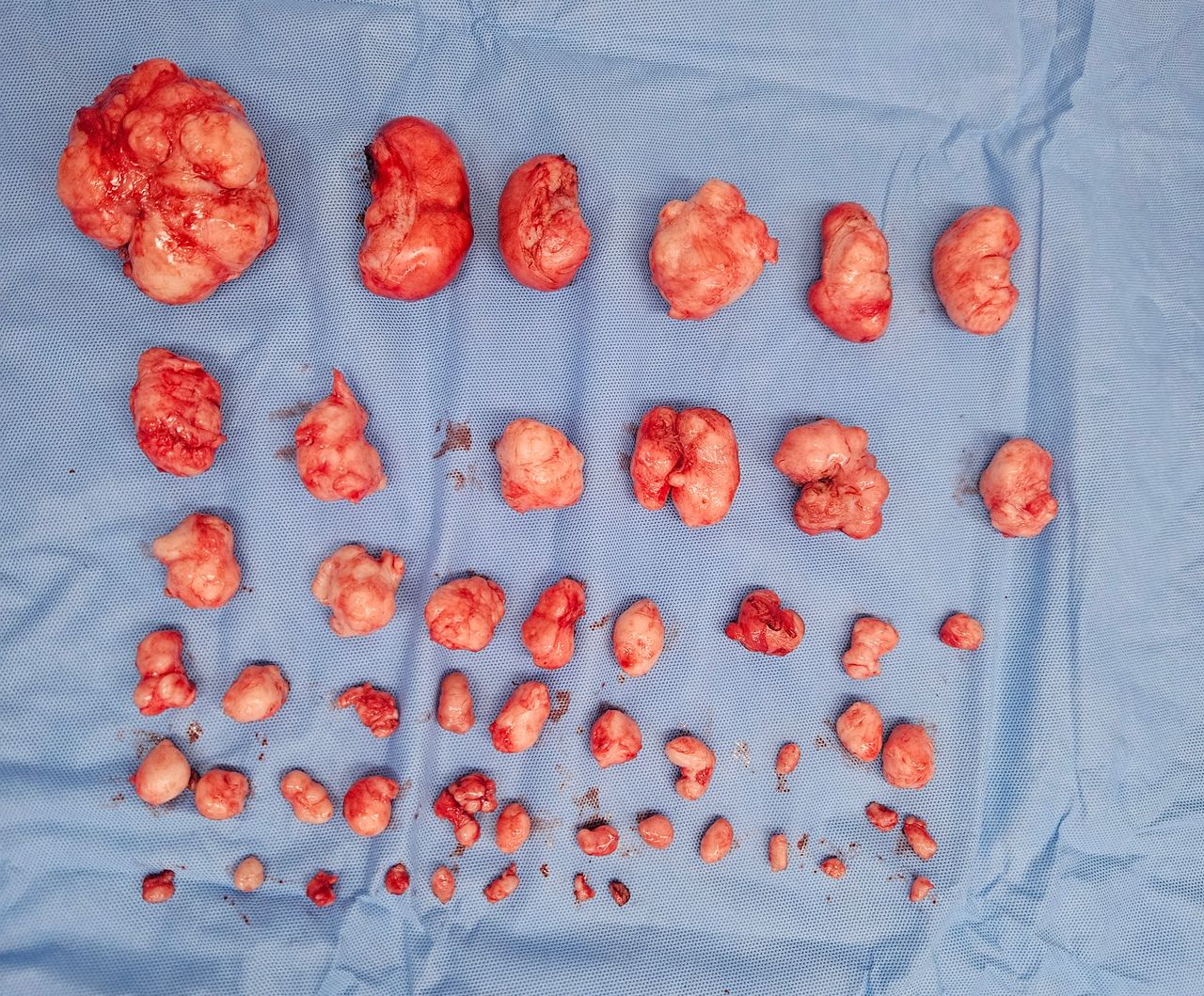 Jorge Alberto Rodriguez Pezino-3