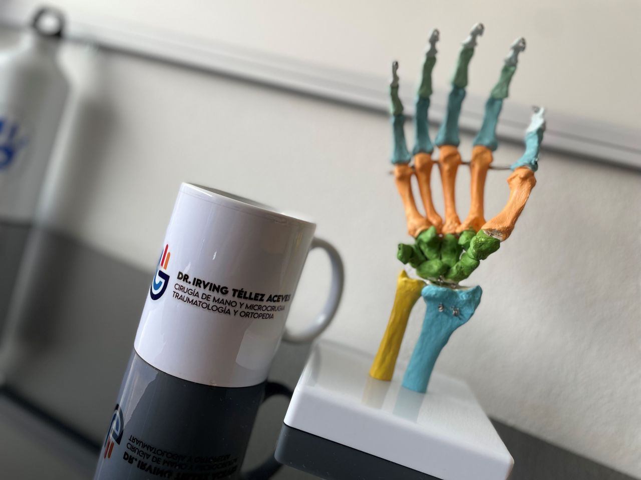 Irving Raúl Téllez Aceves-3