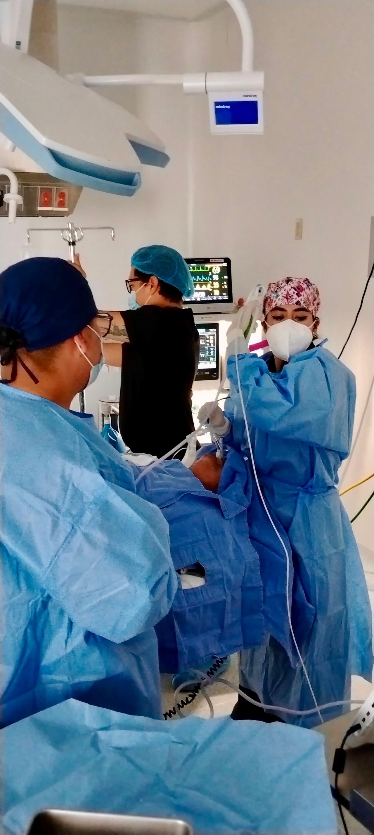 Alejandra Moreira Meyer-8