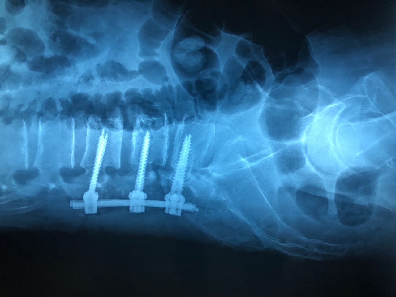 Marco Antonio Altamirano Cruz-4