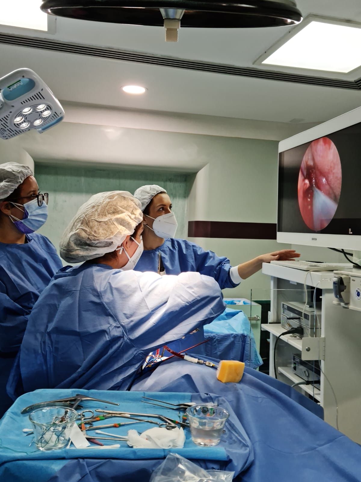 Briscia Plata Gutiérrez-9