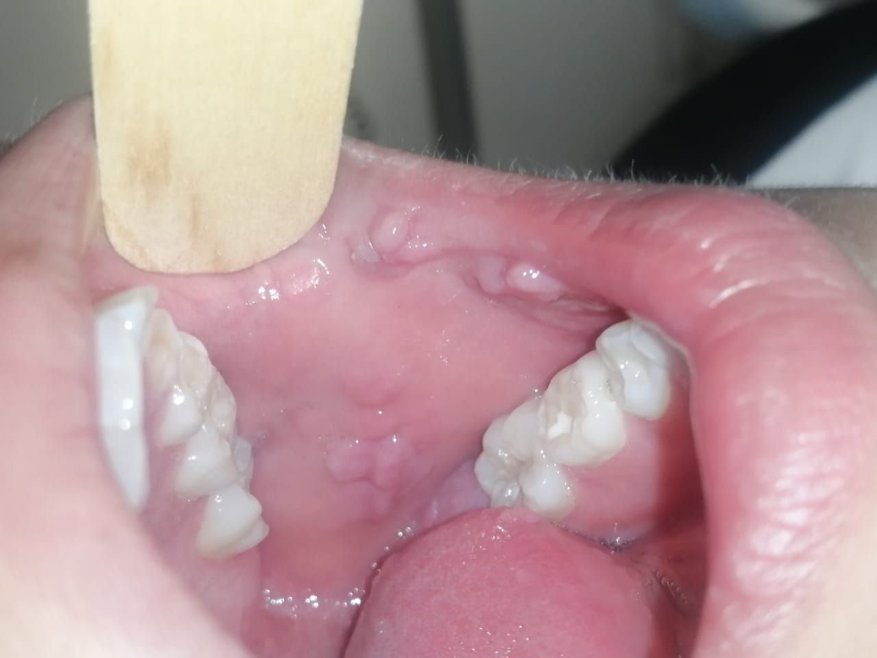 María Teresa Gómez Serrano-4