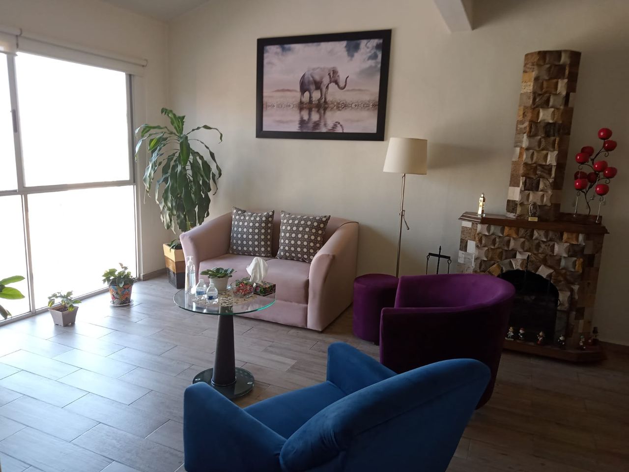 Rosaura González Rubalcava-0