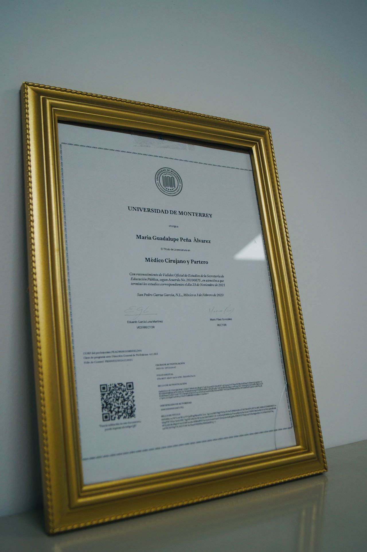 Maria Guadalupe Peña Alvarez-2