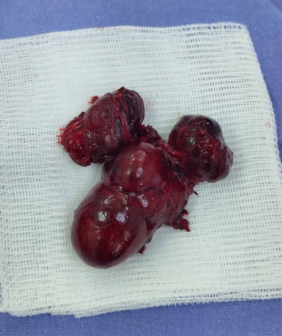 Jose Abraham Sauceda Ramirez-3