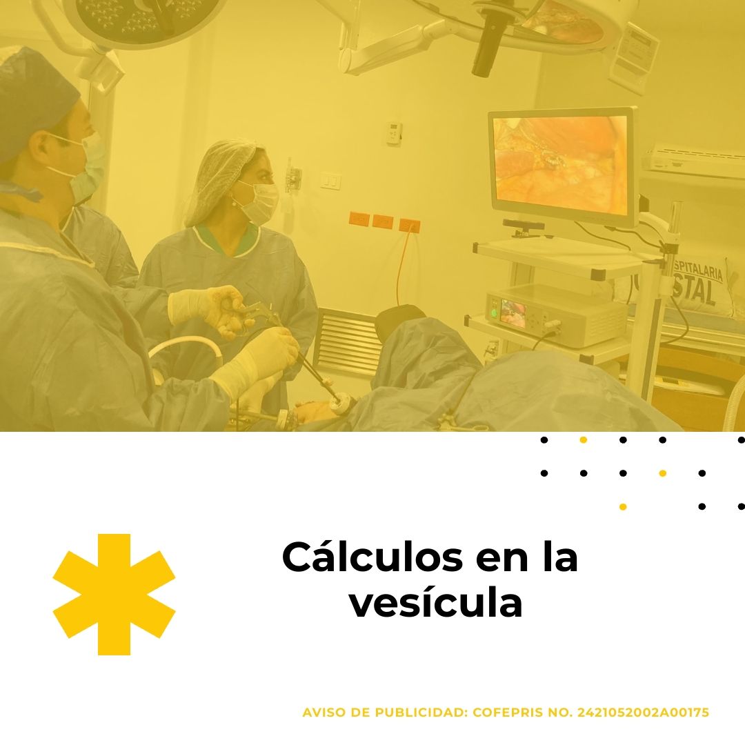 Luis Daniel López Fragoso-2