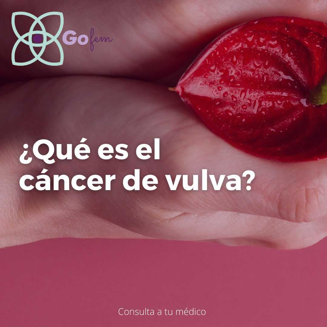 José De Jesús Zermeño Nava-11