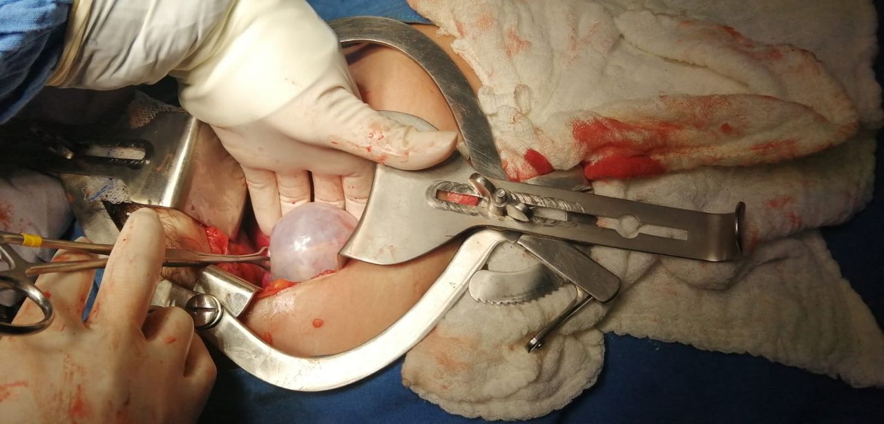 Cynthia Gina Morales Domínguez-10