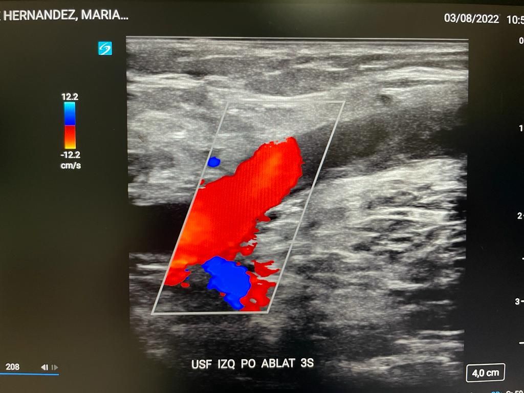 Paloma González Villegas-8