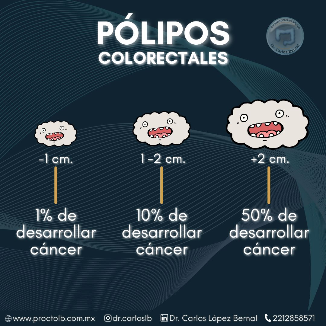 Carlos Alberto López Bernal-13