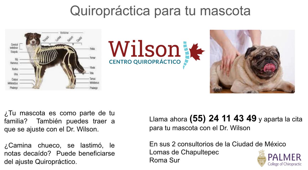 Brian Wilson-5