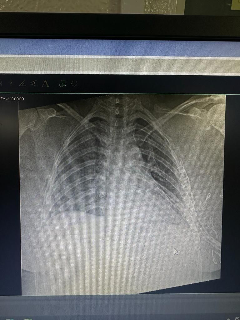 Elizabeth Charrez Guerrero-13