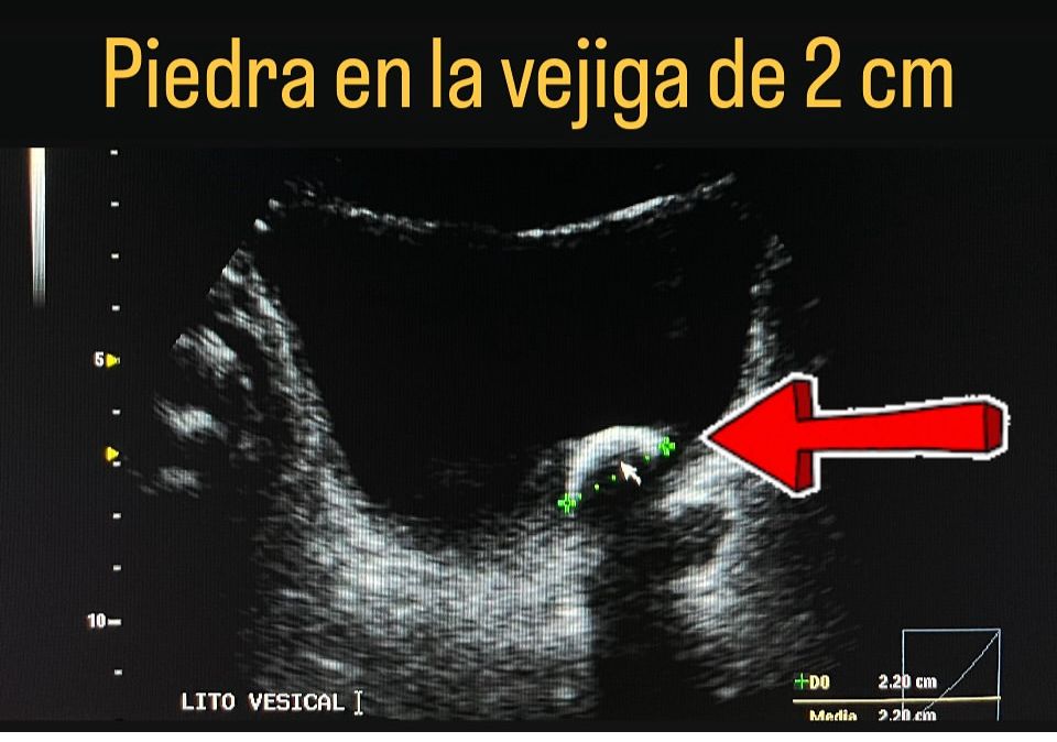 Ana Itzel Gaona Guevara-7