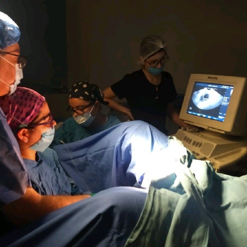 Cinthia Ivette Botello Mendoza-1