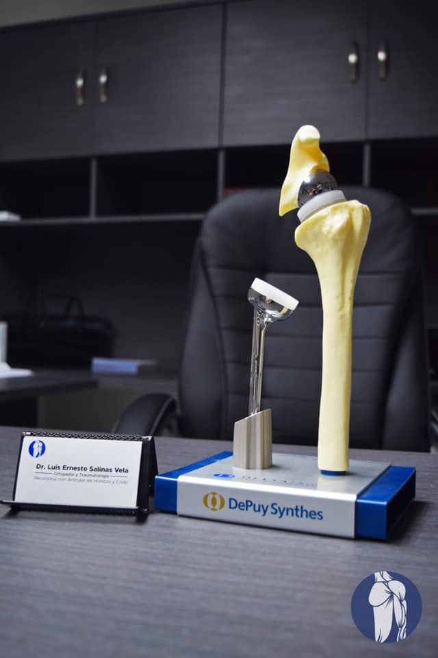 Luis Ernesto Salinas Vela-2