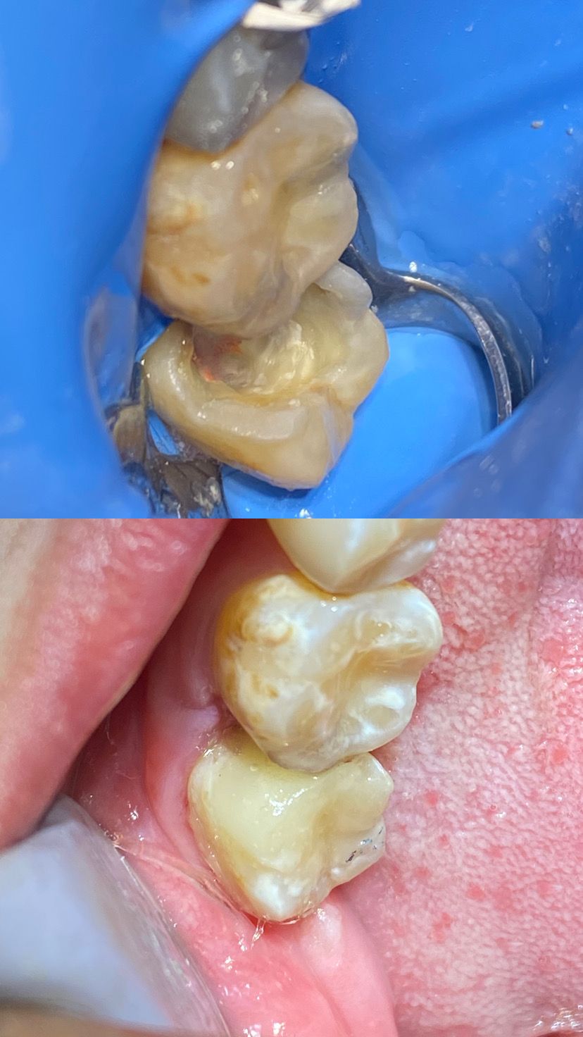 Angélica Saavedra Camacho-8