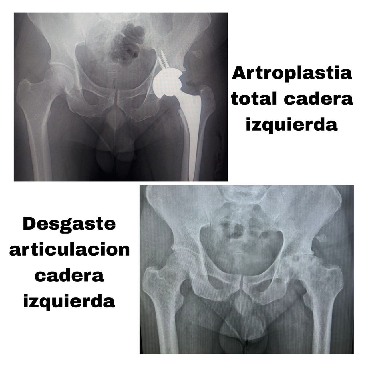 Rogelio Nieves Villa-6