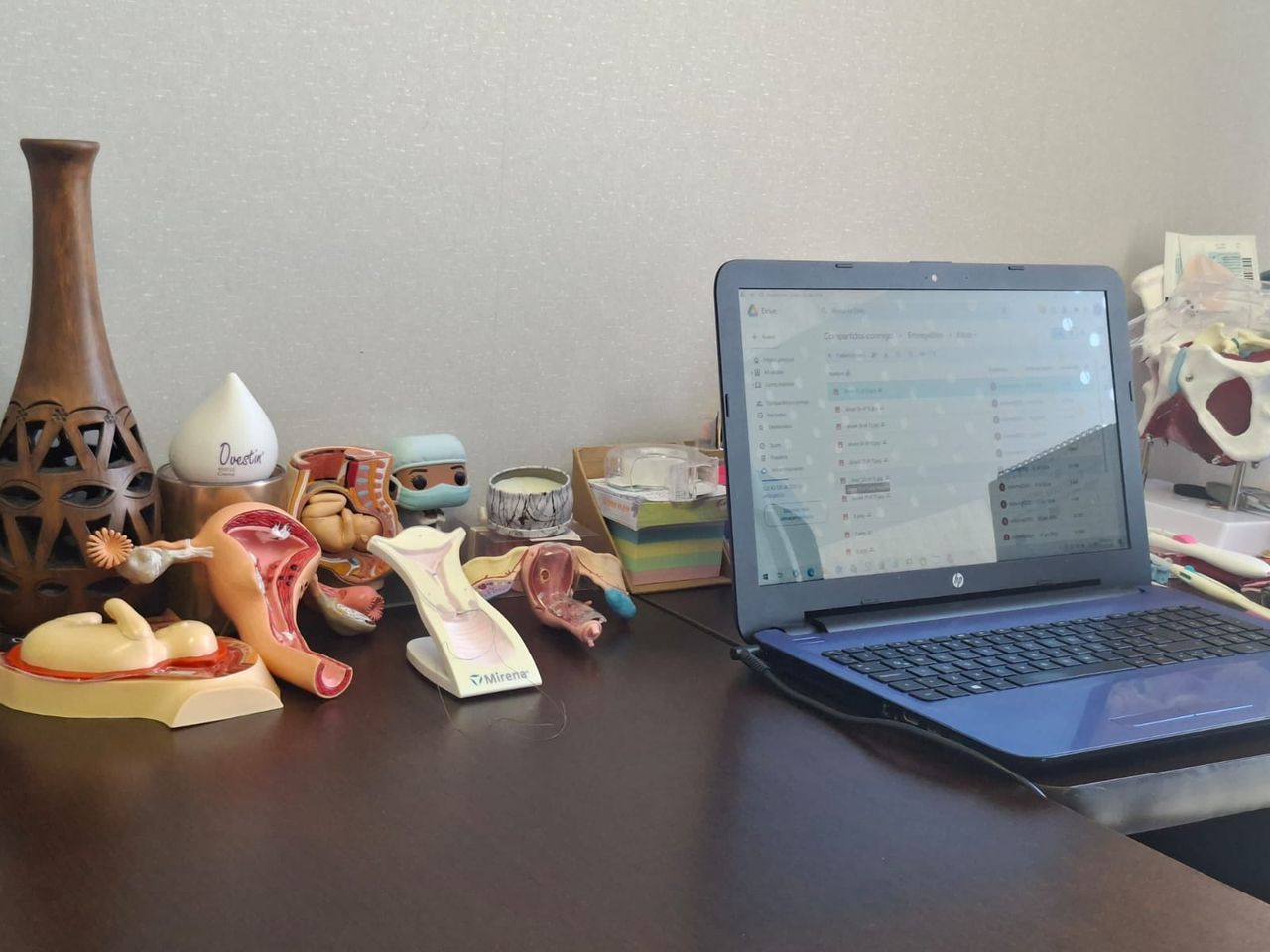 Celia Ivonne Gamboa Altúzar-26