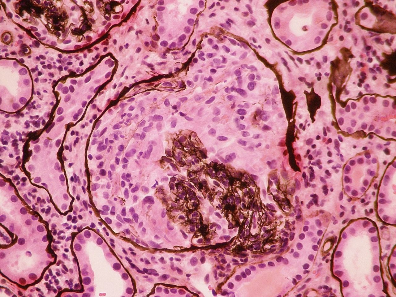 Georgina Del Rocio Guerrero Obregón-2