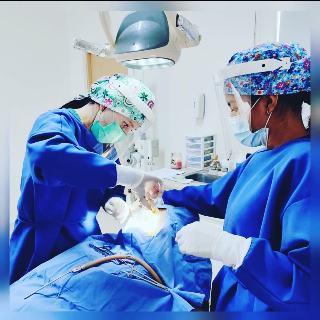 Ana Cecilia Chapa Kindling-29